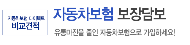 자동차보험 보장담보
